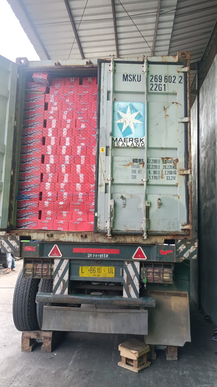 Stuffing Sarden, sent to Libya.jpg
